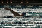 Swimming vs Babson  Wheaton College Swimming vs Babson College. - Photo By: KEITH NORDSTROM : Wheaton, Swimming, Babson